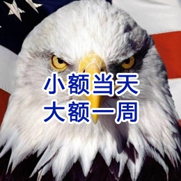 大观要账公司